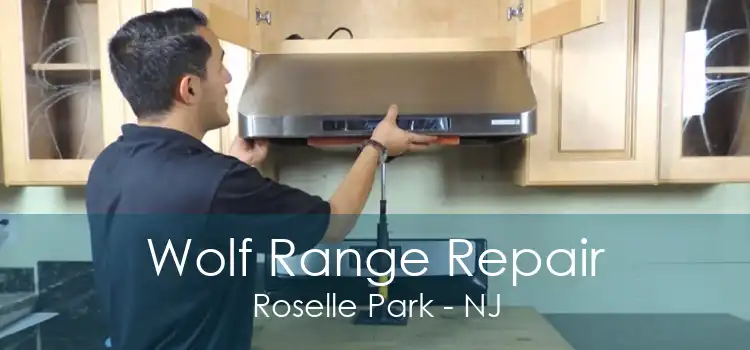 Wolf Range Repair Roselle Park - NJ