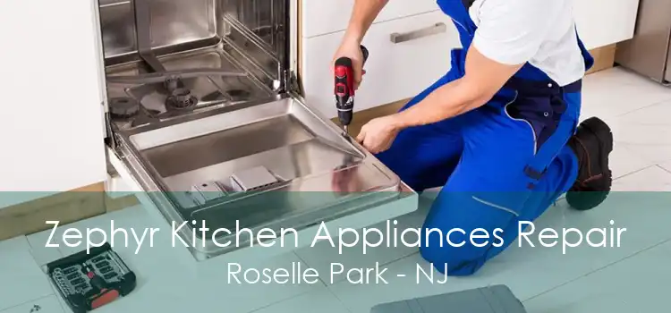 Zephyr Kitchen Appliances Repair Roselle Park - NJ