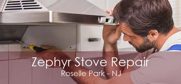 Zephyr Stove Repair Roselle Park - NJ